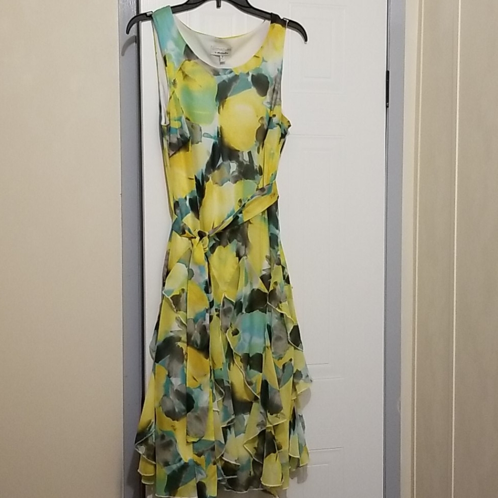 Dress - Picture 8 of 9